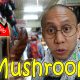MUSHROOM?! | February 12, 2017 | Vlog #25