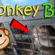 OMG! MONKEY BITE | February 26th, 2017 | Vlog #38