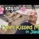 OMG! A DEER KISSED ME! (JAPAN) | April 14th, 2017 | Vlog #84