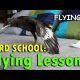 BIRD SCHOOL: FLYING LESSONS?! | May 21st, 2017 | Vlog #120