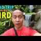 Road Trip with My Bird | May 23rd, 2017 | Vlog #122