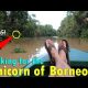 WOW! LOOKING FOR THE UNICORN OF BORNEO | June 26th, 2017 | Vlog #151