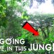 I Am Going To Live In This Jungle! | Vlog #173