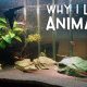 WHY I LOVE ANIMALS! | Vlog #178