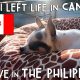 WHY I LEFT CANADA TO LIVE IN THE PHILIPPINES | Vlog #186