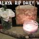 RIP MALAYA. RIP DAILY VLOGS.