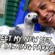 MEET MY NEW BABY TALKING PARROT! | Vlog #220