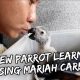 MY BABY PARROT SINGS MARIAH CAREY! | Vlog #222