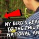 #AfricanGrey #parrot #pets My Bird’s Cute Reaction to the Philippine National Anthem | Vlog #250