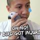 Oh No – My Bird’s Injury | Vlog #263