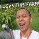 Planning My Dream Farm with my Bird | Vlog #264