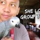 Raising My African Grey Parrot | Vlog #256