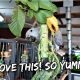 A Cookbook For Parrots?? | Vlog #288
