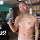A Day in the Life of a Parrot and a Youtuber | Vlog #281