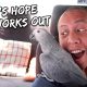 Big Future Life Plans with My Bird | Vlog #279