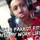 How a Parrot Fits Into My Work Life | Vlog #287
