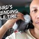 My Bird’s Never-ending Cuddle Time | Vlog #283