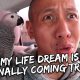 My Life Dream – secret projects revealed soon | Vlog #284