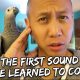 he First Sound My Parrot Learned to Copy – It’s Not Good | Vlog #277