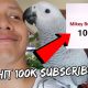 Hitting 100,000 Subscribers – 3 Times I Could Have Given Up | Vlog #299