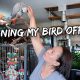 I Had to Wean My Bird Off Me | Vlog #312