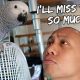 My Last Day With My Bird – A Sad Goodbye | Vlog #323