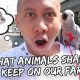What Animals Shall We Keep On Our Farm? | Vlog #304