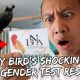 My Bird’s Shocking Gender Reveal | Vlog #329