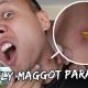 I Have a Botfly Maggot Parasite Inside My Neck | Vlog #371