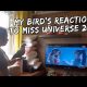 My Bird’s Hilarious Reaction to MISS UNIVERSE 2018 | Vlog #357