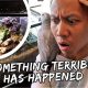 Something Terrible Has Happened to My Pet Ants | Vlog #376