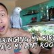 Bringing My Bird Into My Ant Room | Vlog #400