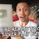 MY BIRD REACTS TO OUR NEW SILVER PLAY BUTTON | Vlog #499