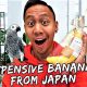 Giving my Bird Expensive Luxury Banana from Japan | Vlog #453