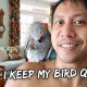 How I Keep My Bird Quiet | Vlog #535