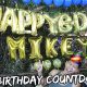 My Birthday Countdown | Vlog #529