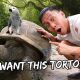 Shopping For An Aldabra Tortoise | Vlog #525