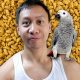 I Want To Be A Distrubutor Of This Parrot Food Brand | Vlog #669