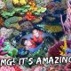 The Most Beautiful Coral Reef We’ve Ever Seen | Vlog #720