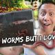Vermicomposter: Why Every Gardener Should Have One | Vlog #772