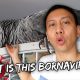 My Bird Might Have BORNAVIRUS (I Hope She Doesn’t) | Vlog #838
