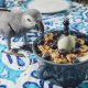 My Parrot’s 2nd Birthday Party | Live Stream