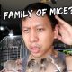 OH NO! There’s MORE MICE? | Vlog #879