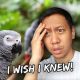 What I Wish I Knew Before Getting My African Grey Parrot | Vlog #881