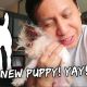 OMG! Another Puppy Is Arriving! | Vlog #923